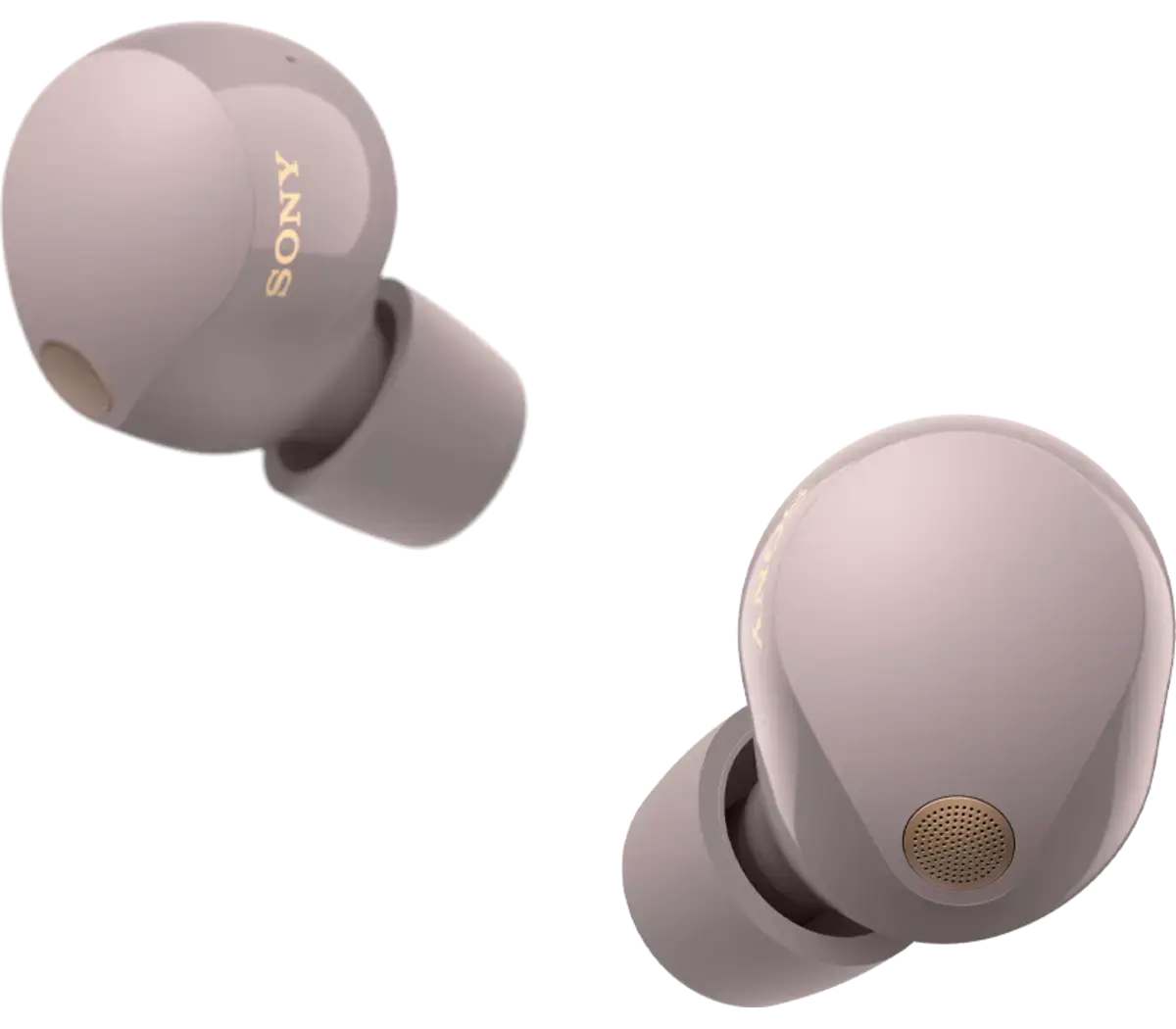 Sony WF 1000 XM5 Enforce Records