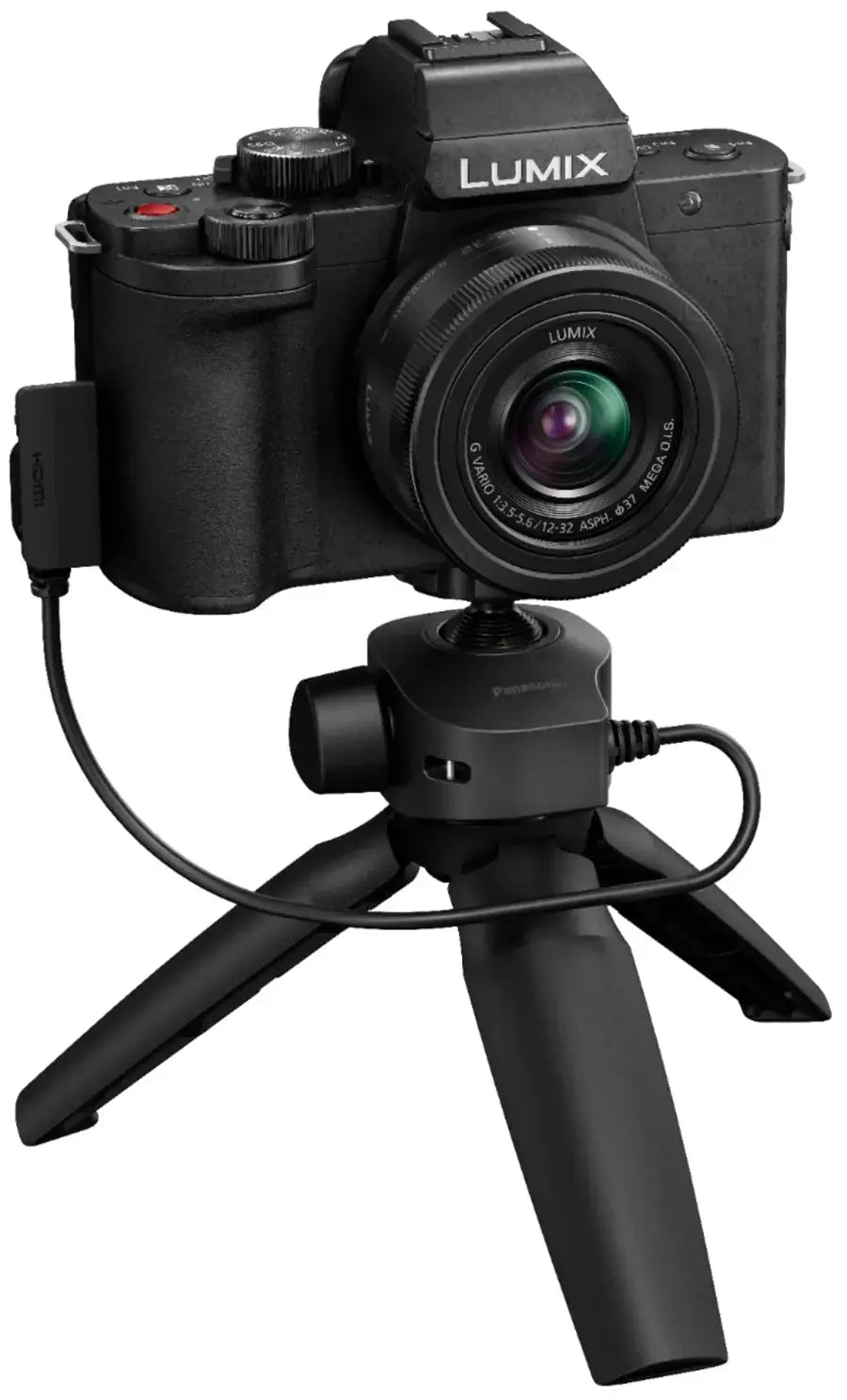 LUMIX G100 Mirrorless Camera Enforce Records