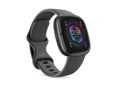 Fitbit Sense 2 Enforce Records